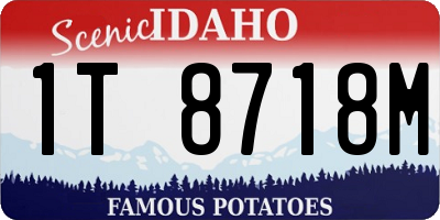 ID license plate 1T8718M