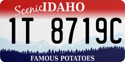 ID license plate 1T8719C