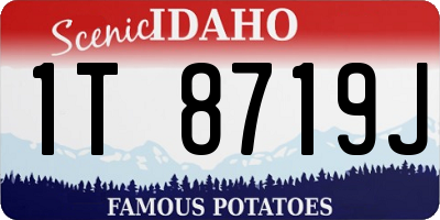 ID license plate 1T8719J
