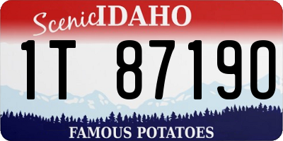 ID license plate 1T8719O