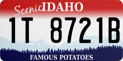 ID license plate 1T8721B
