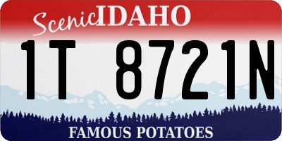 ID license plate 1T8721N