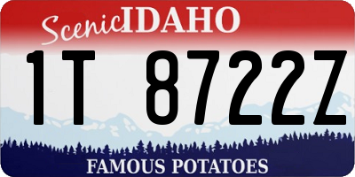 ID license plate 1T8722Z