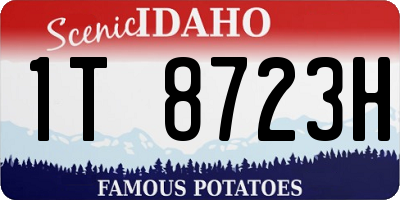 ID license plate 1T8723H