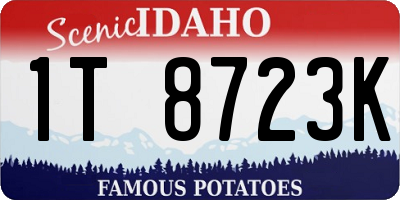 ID license plate 1T8723K