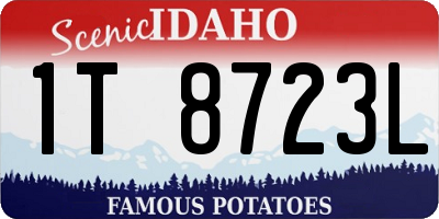 ID license plate 1T8723L