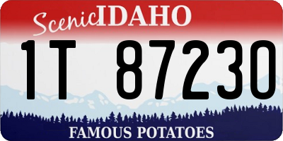 ID license plate 1T8723O