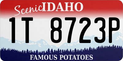 ID license plate 1T8723P