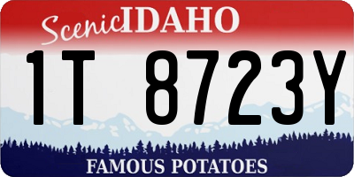 ID license plate 1T8723Y