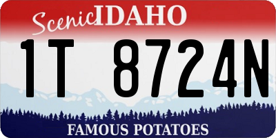 ID license plate 1T8724N