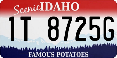 ID license plate 1T8725G