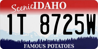 ID license plate 1T8725W