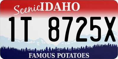 ID license plate 1T8725X