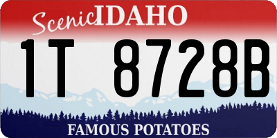ID license plate 1T8728B