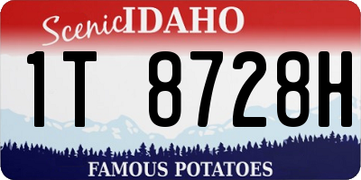 ID license plate 1T8728H