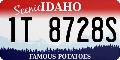 ID license plate 1T8728S
