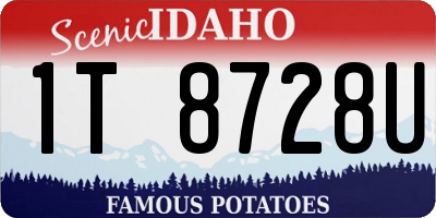 ID license plate 1T8728U