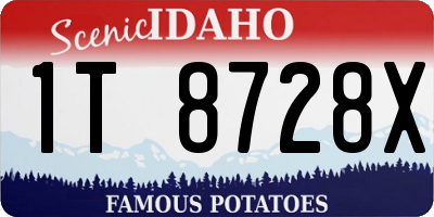 ID license plate 1T8728X