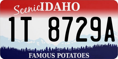 ID license plate 1T8729A