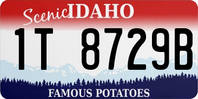 ID license plate 1T8729B