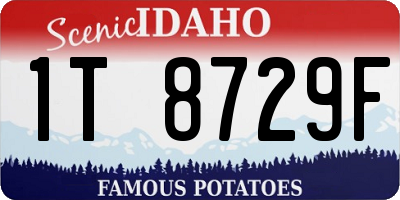 ID license plate 1T8729F