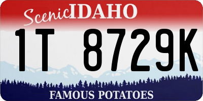 ID license plate 1T8729K