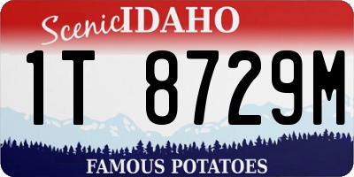 ID license plate 1T8729M