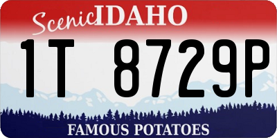 ID license plate 1T8729P
