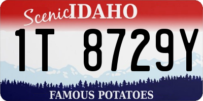ID license plate 1T8729Y