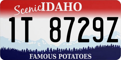 ID license plate 1T8729Z