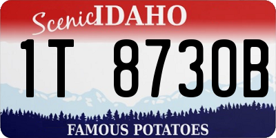 ID license plate 1T8730B