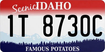 ID license plate 1T8730C