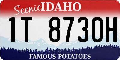 ID license plate 1T8730H