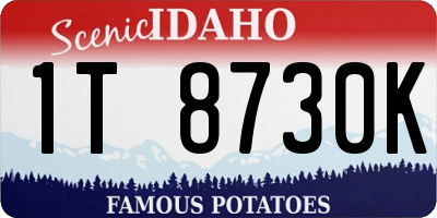 ID license plate 1T8730K