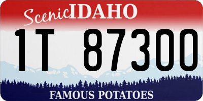 ID license plate 1T8730O
