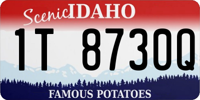 ID license plate 1T8730Q