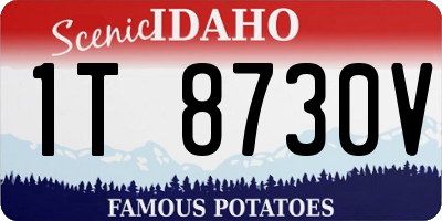 ID license plate 1T8730V
