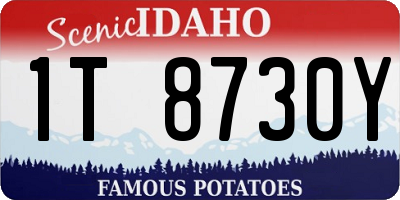 ID license plate 1T8730Y