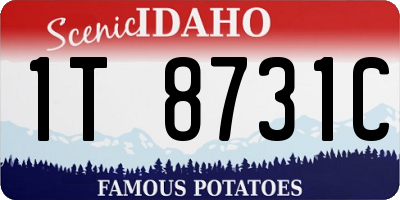 ID license plate 1T8731C