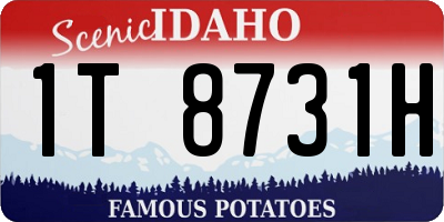 ID license plate 1T8731H
