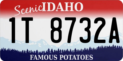 ID license plate 1T8732A