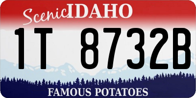 ID license plate 1T8732B