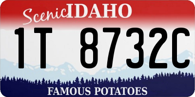 ID license plate 1T8732C