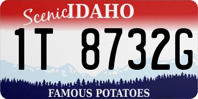 ID license plate 1T8732G