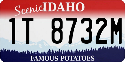 ID license plate 1T8732M