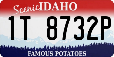 ID license plate 1T8732P