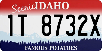 ID license plate 1T8732X