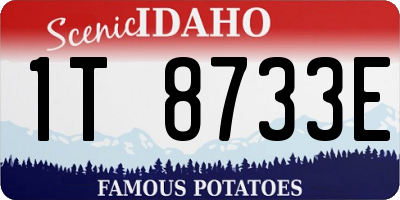 ID license plate 1T8733E
