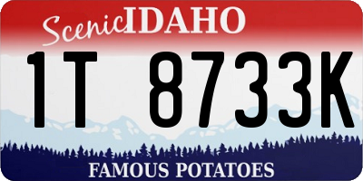 ID license plate 1T8733K