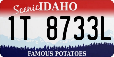 ID license plate 1T8733L